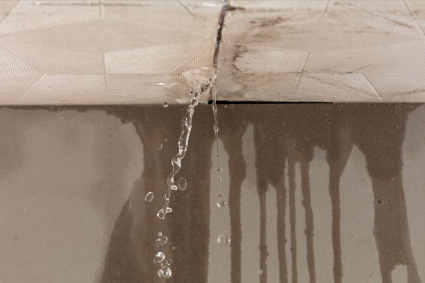 Professional Structural Drying technician working in Albion, PA